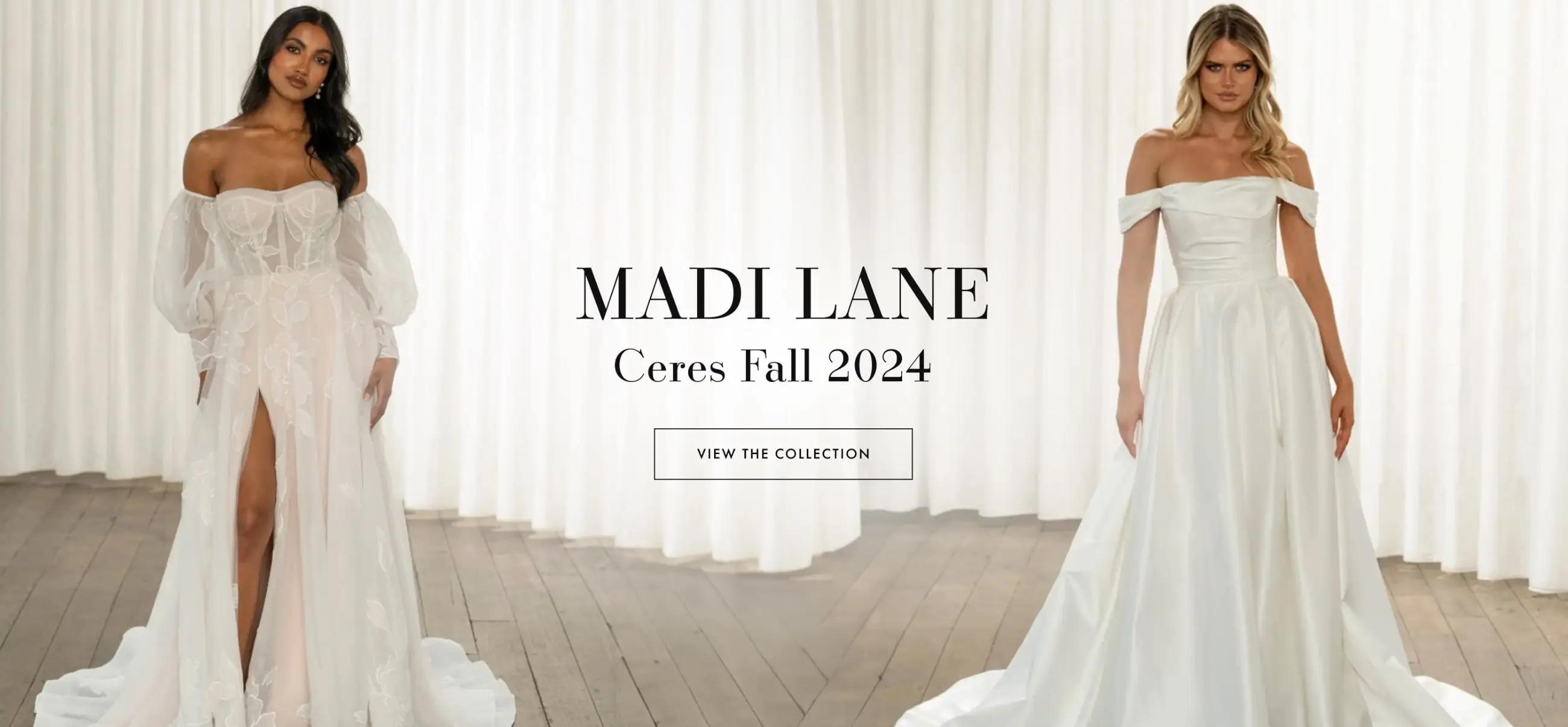 Madi Lane Fall 2024 new banner for desktop